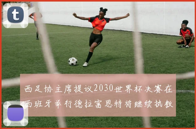 西足协主席提议2030世界杯决赛在西班牙举行德拉富恩特将继续执教国家队